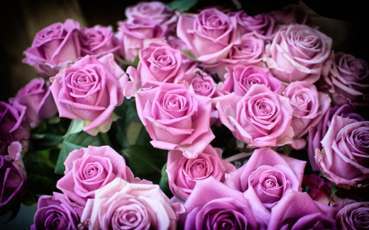 1046755 (a): :2880x1800